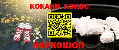 гидропоника Камышлов