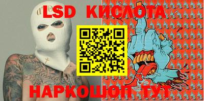 гидропоника Камышлов
