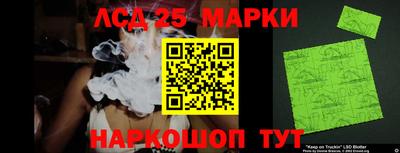 гидропоника Камышлов