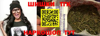 гидропоника Камышлов