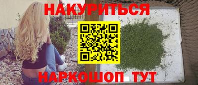 гидропоника Камышлов