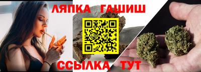 гидропоника Камышлов