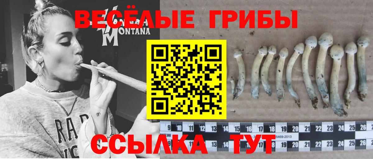 Псилоцибиновые грибы мицелий  Вход с VPN  Псилоцибиновые грибы прущие грибы  Благовещенск 