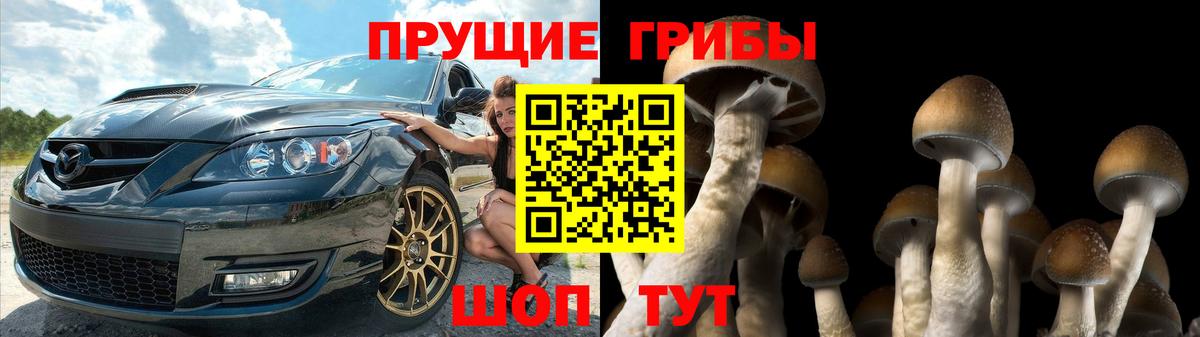 Галлюциногенные грибы мухоморы Благовещенск